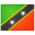 Saint Kitts and Nevis Flag icon png