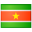 Suriname Flag icon png