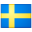 Sweden Flag icon png