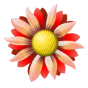Flower icon png