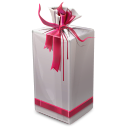 Gift Box icon ico